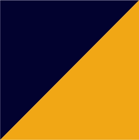 navy/gold
