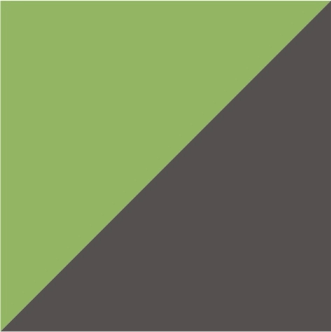 spring green/iron grey
