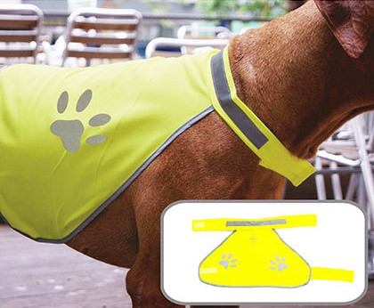 signal yellow