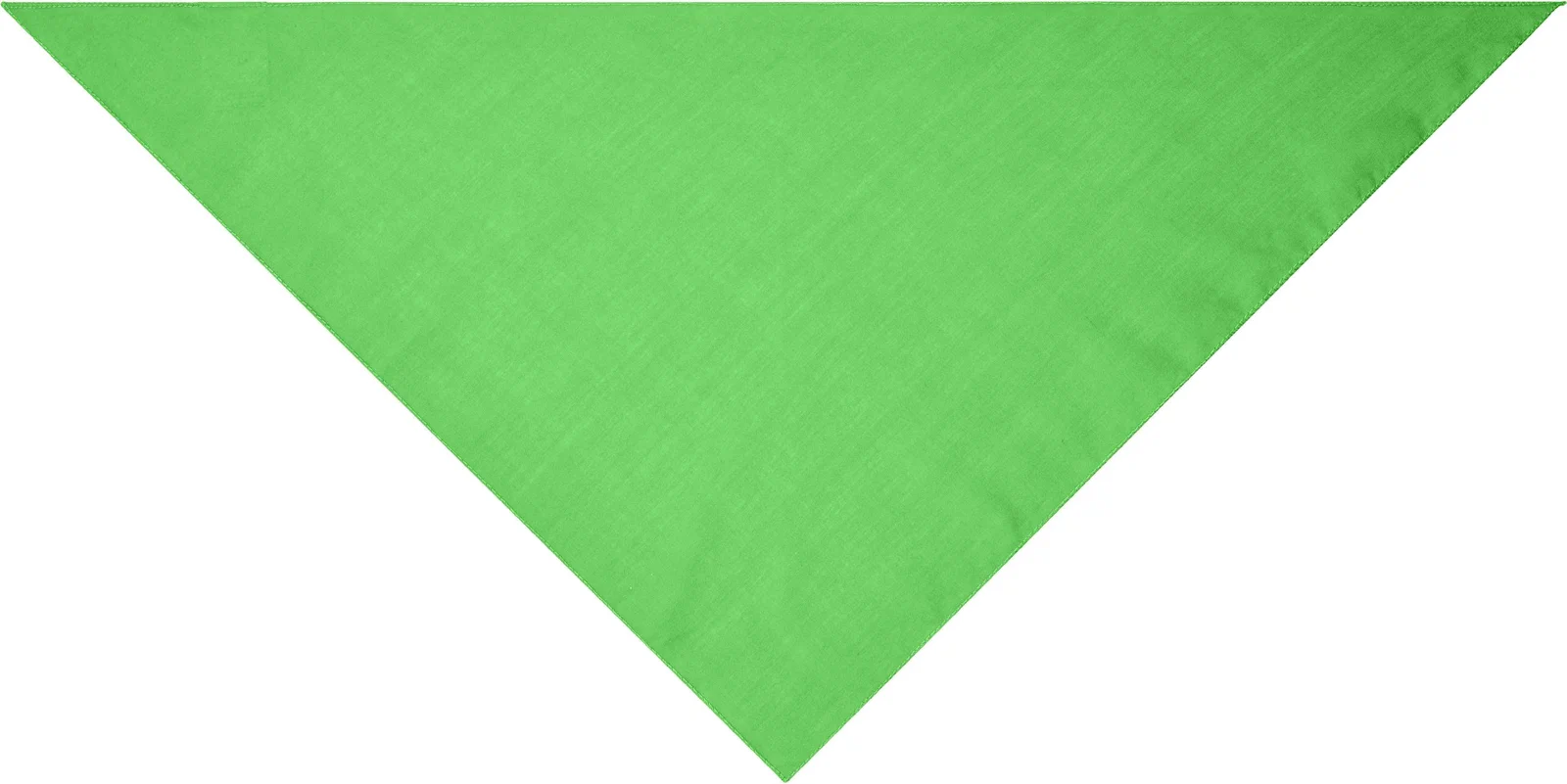 myrtle beach Triangular Scarf