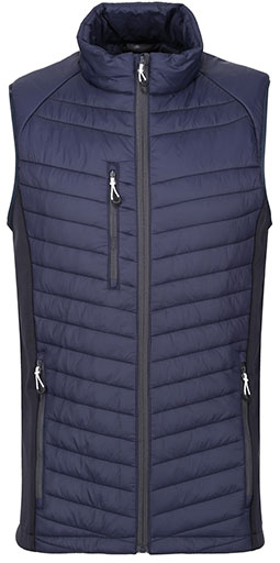 navy/seal grey