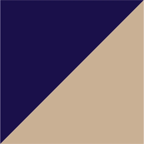 navy/beige