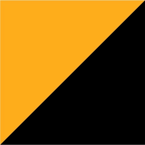 bright orange/black