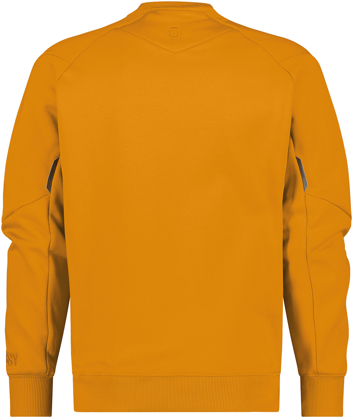 DASSY Sweatshirt DOLOMITI