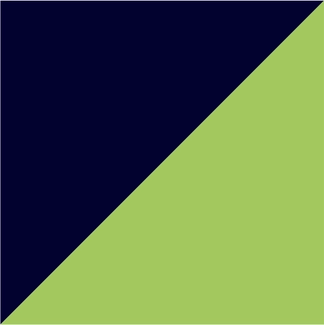 navy/lime