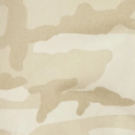 sandstorm