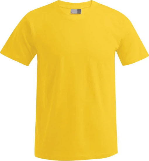 Promodoro Men's Premium-T