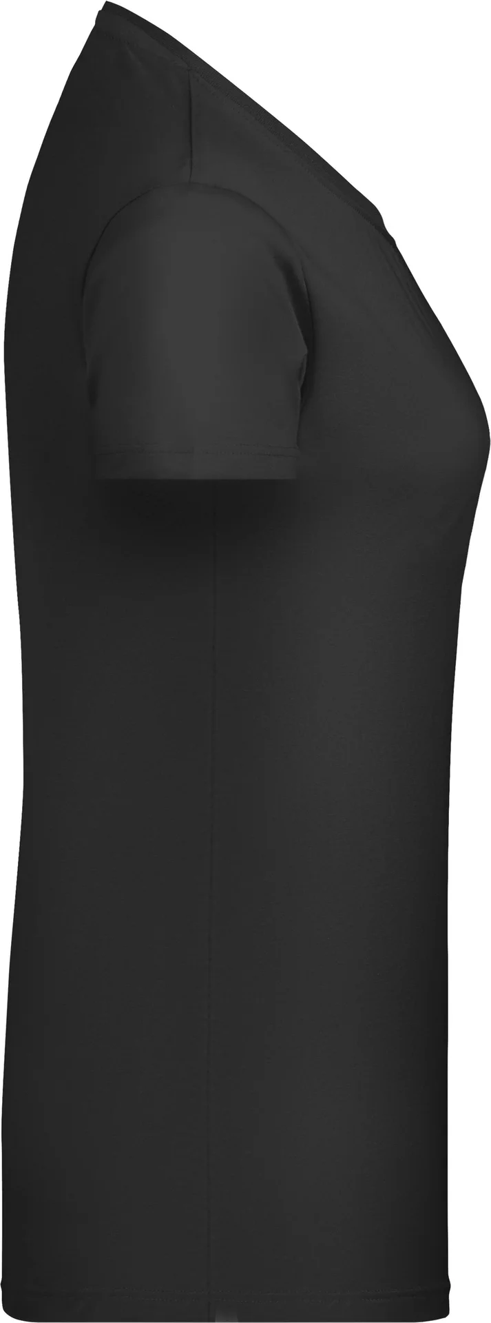 James & Nicholson Ladies Basic-T