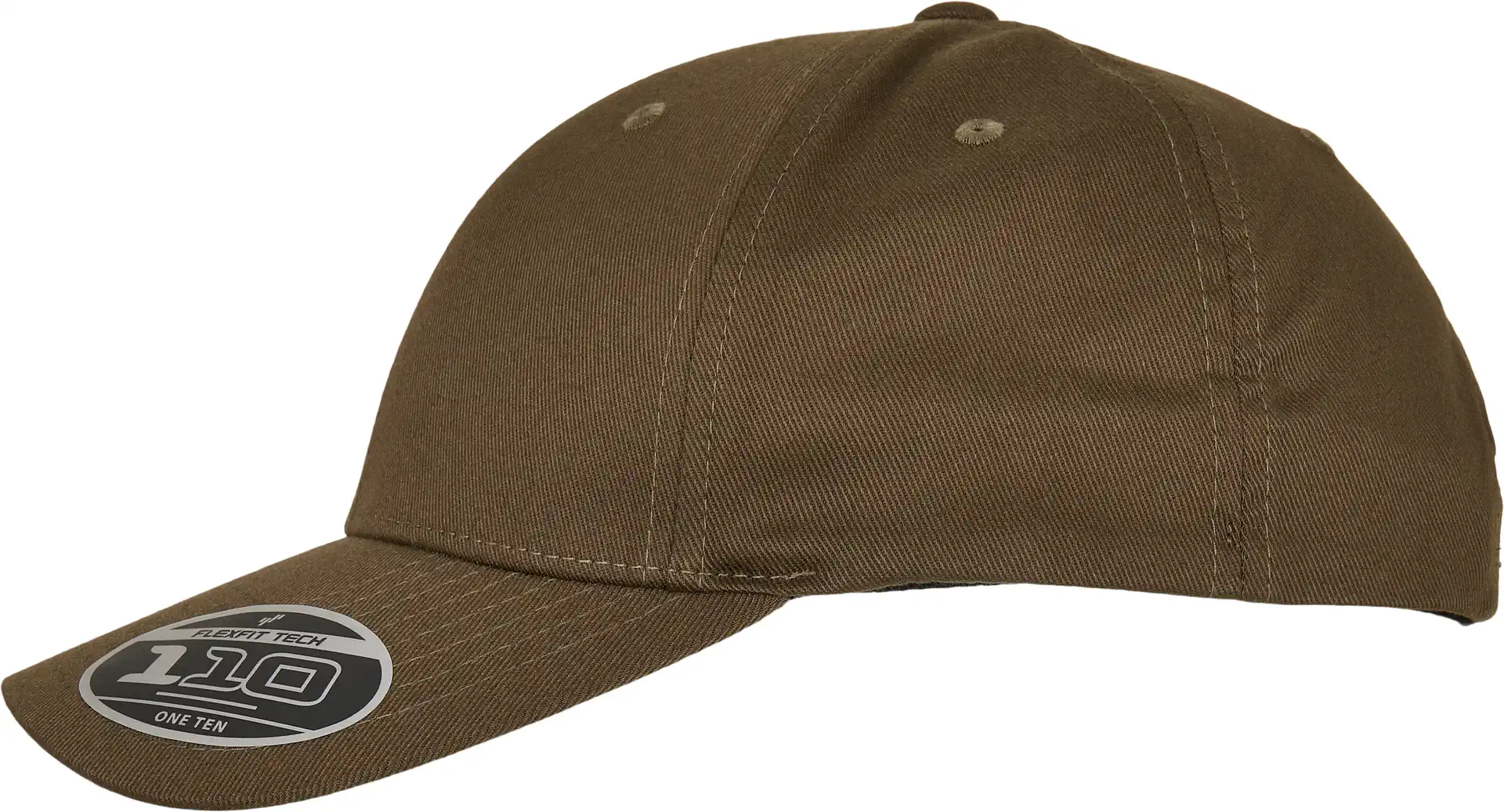 FLEXFIT Flexfit 110 Curved Visor Snapback