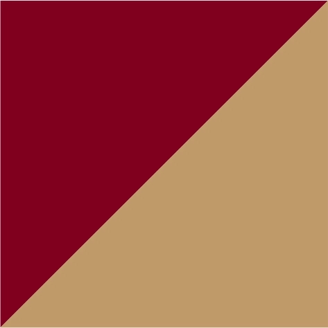 burgundy/camel