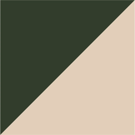 olive green/stone