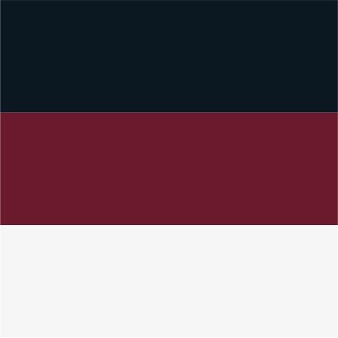 navy/cardinal red/white