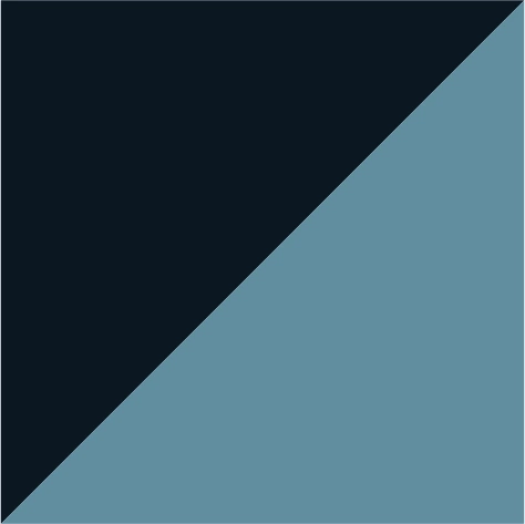 navy/columbia blue