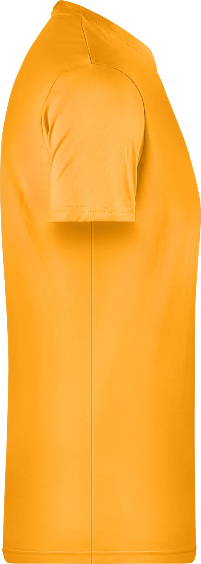 James & Nicholson Men`s Basic-T