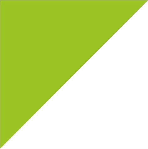 lime green/lime green/white