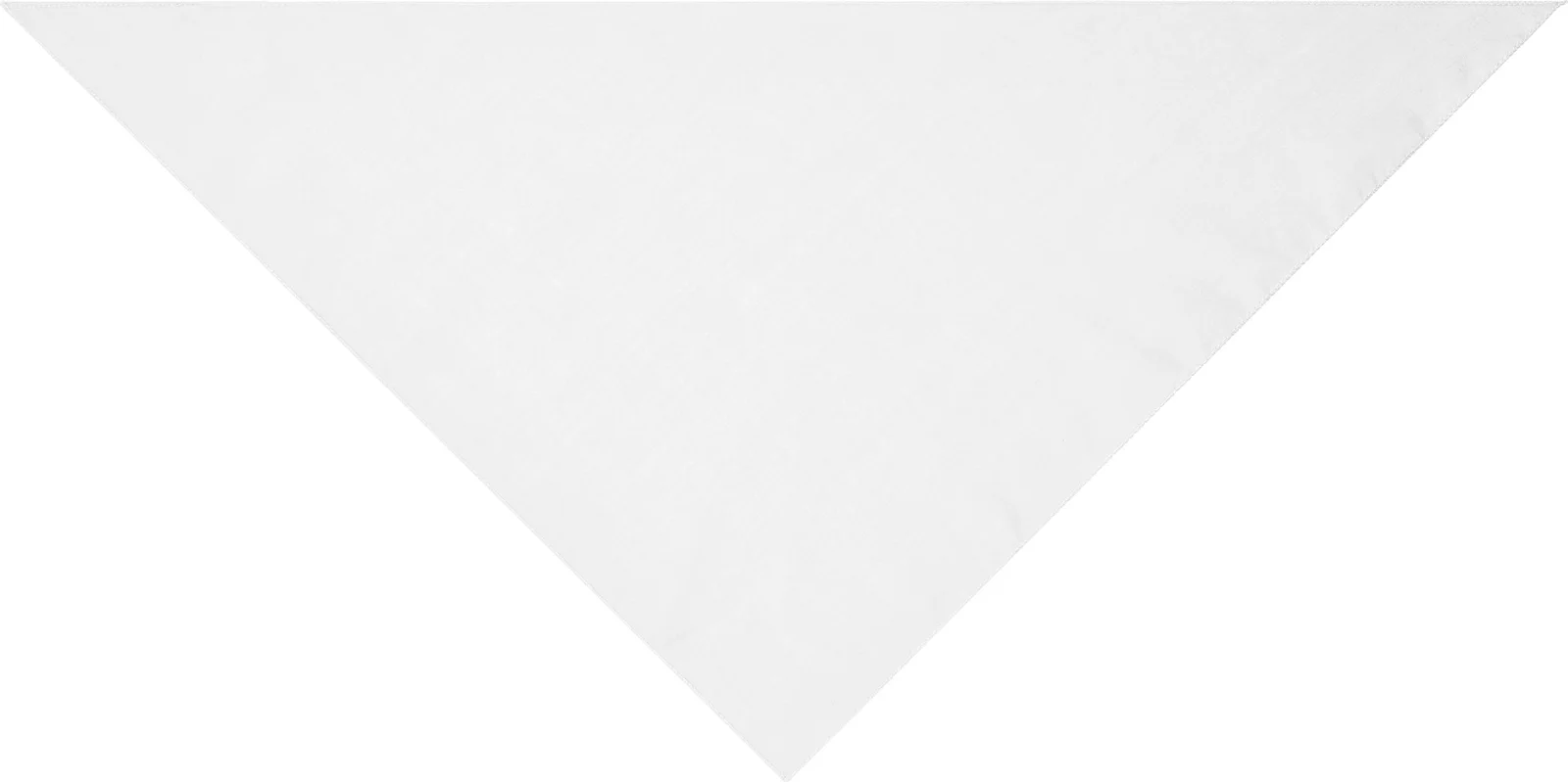 myrtle beach Triangular Scarf