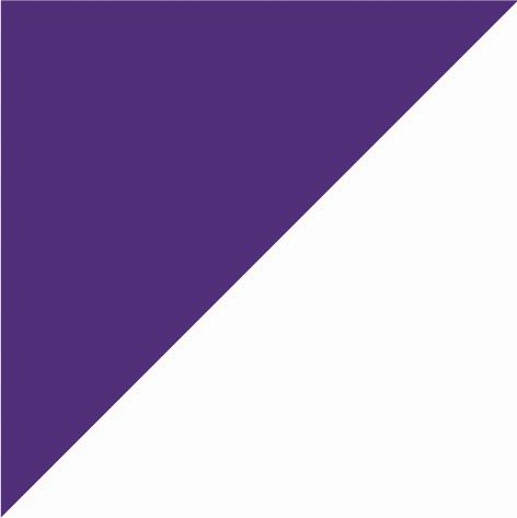 purple/arctic white