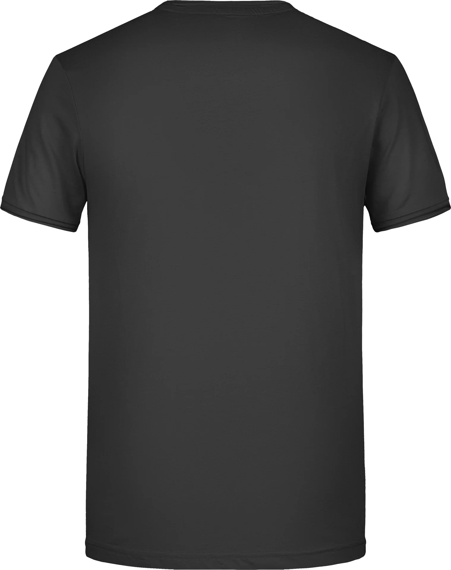 James & Nicholson Men's T
