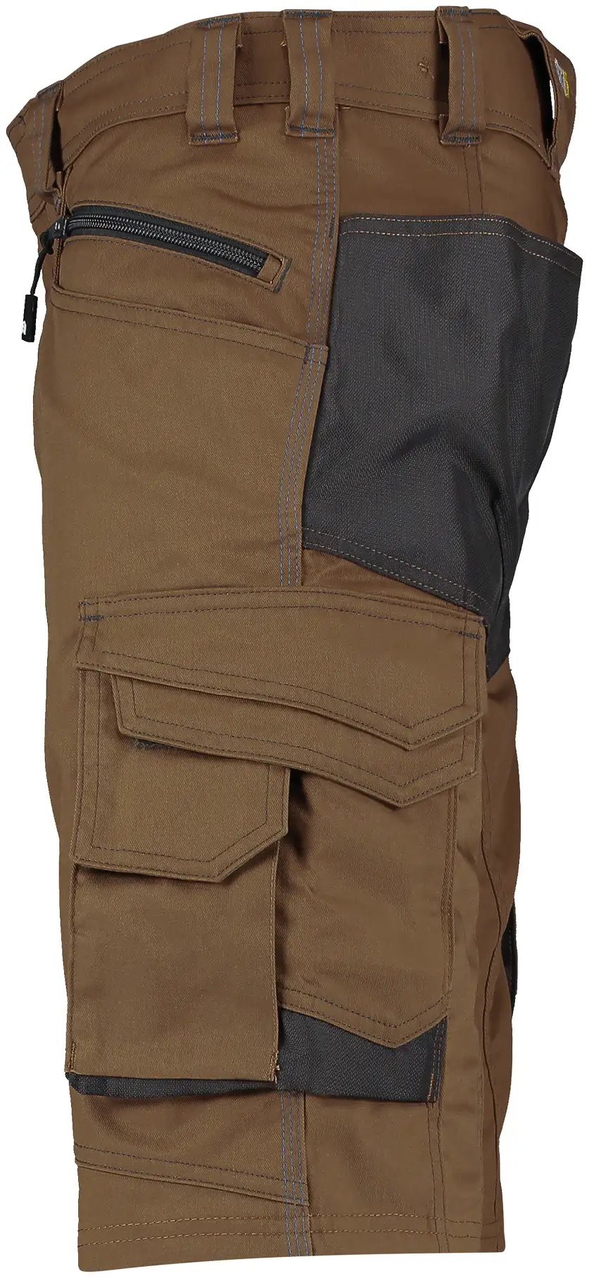 DASSY Arbeitsshorts COSMIC