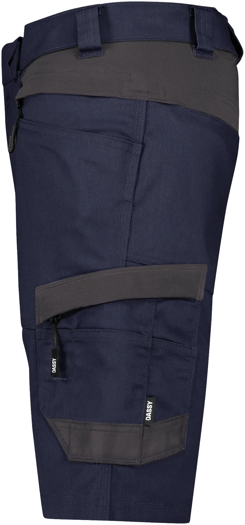 DASSY Stretch-Arbeitsshorts AXIS Next