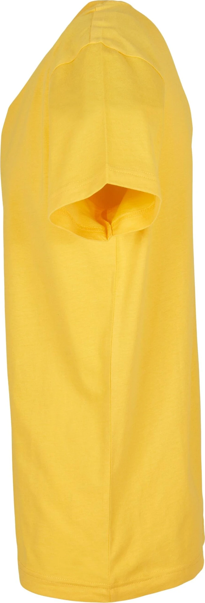Build Your Brand Basic Round Neck T-Shirt