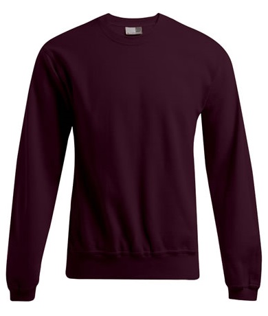 Promodoro Men's Sweater 80/20