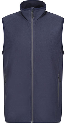 navy/seal grey
