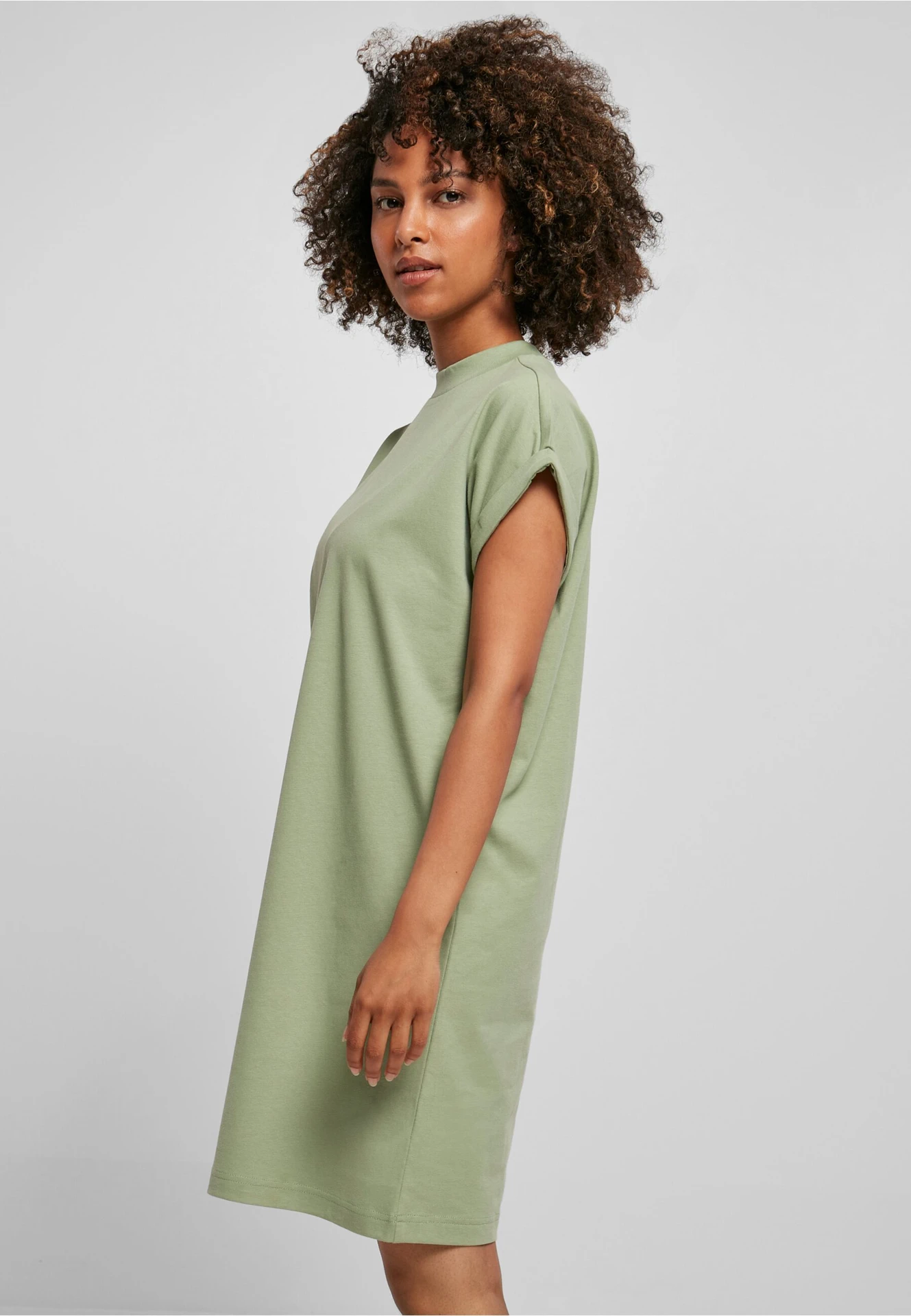 Build Your Brand Ladies Turtle Extended Shoulder Dress
