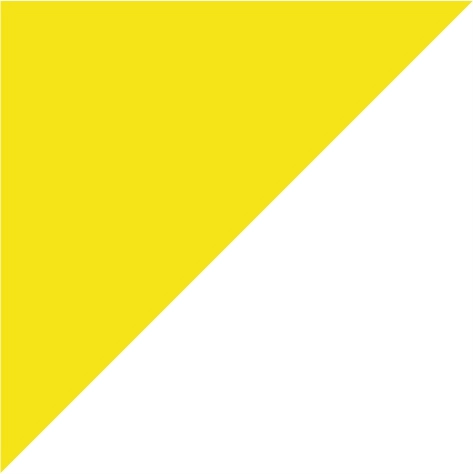 sun yellow/white