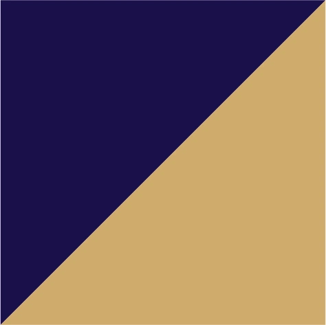 navy blue/ivory