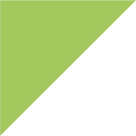 lime green/white