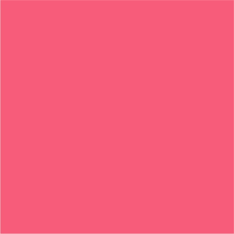 hibiskus pink
