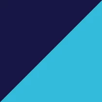 navy/aqua