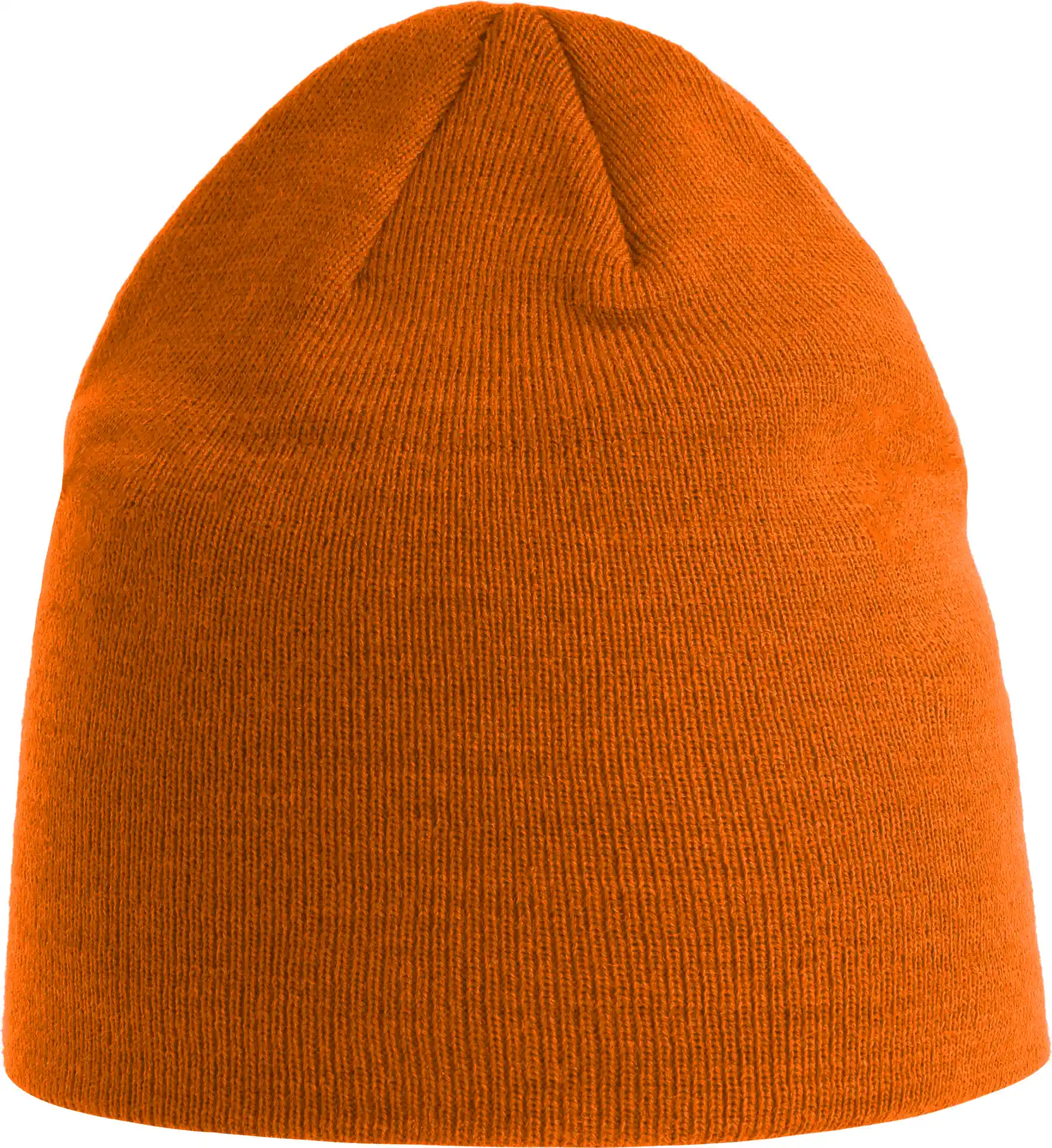 Atlantis Holly Beanie