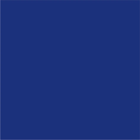 navy pro