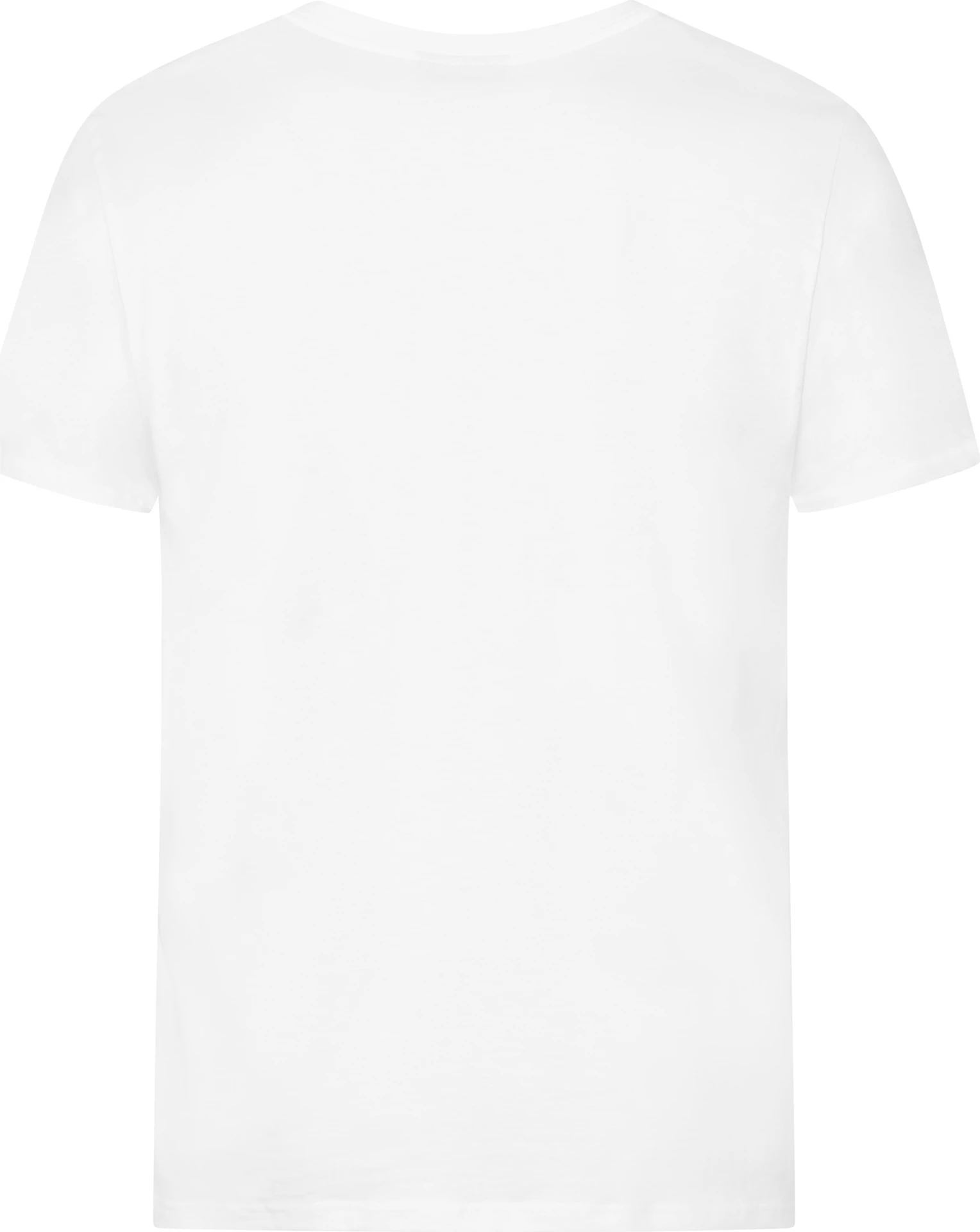 Promodoro Men's Premium V-Neck-T