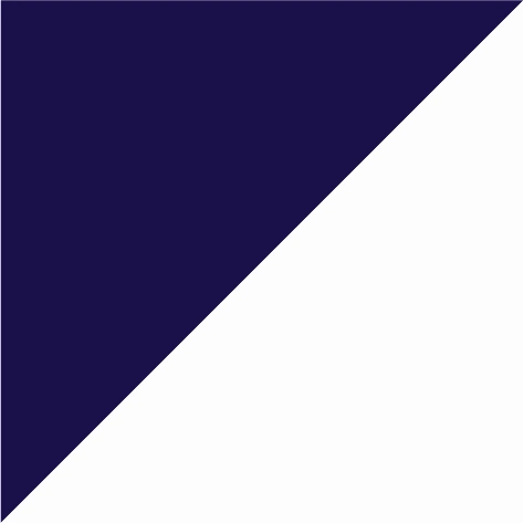 navy blue/white