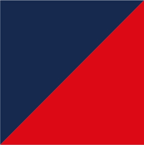 navy/red