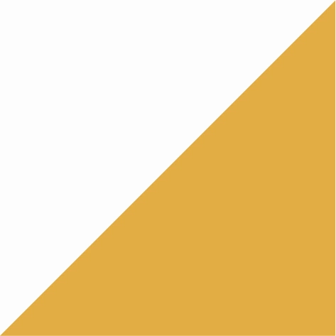 white/dark yellow