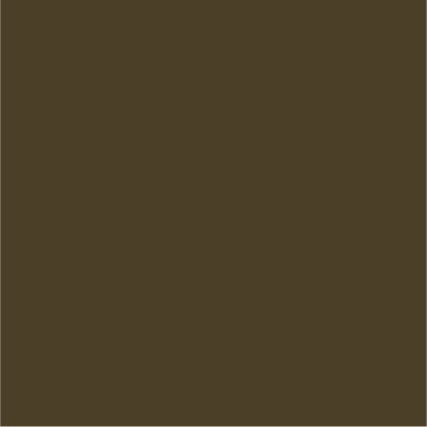 burnt olive