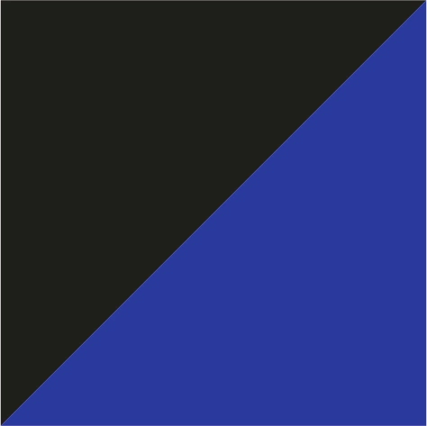 dark grey/royal