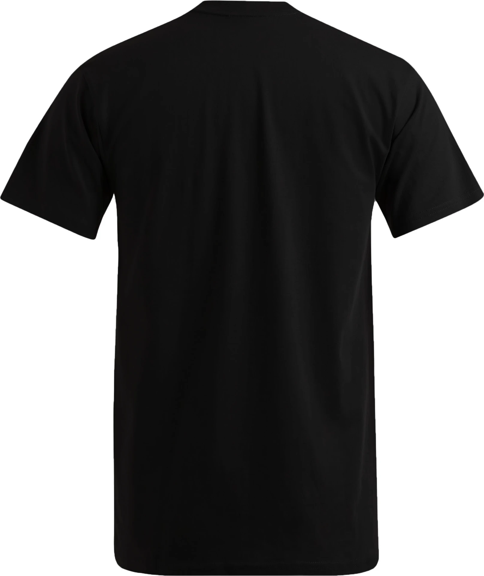 Promodoro Men's Premium V-Neck-T