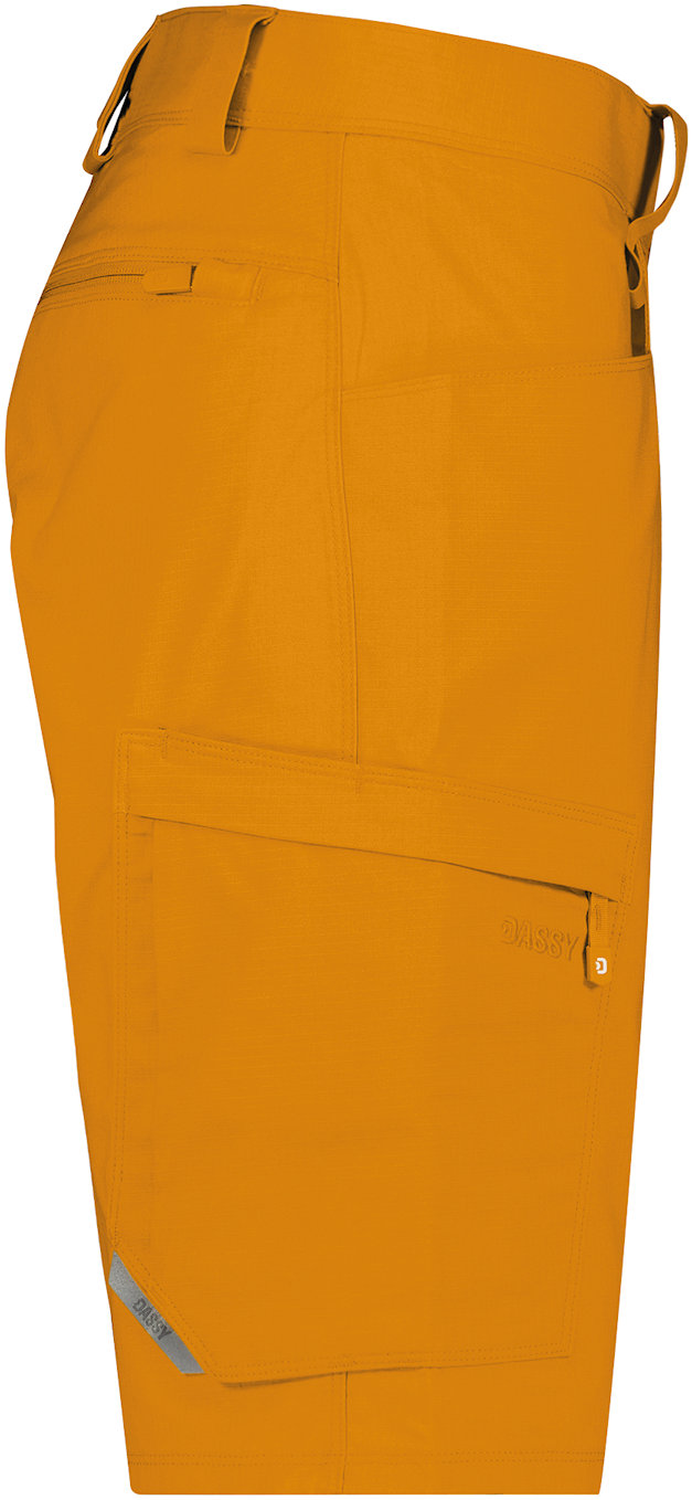 DASSY Arbeitsshorts ZION