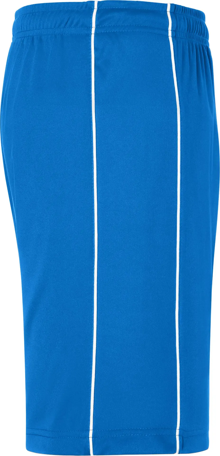 James & Nicholson Basic Team Shorts (387)