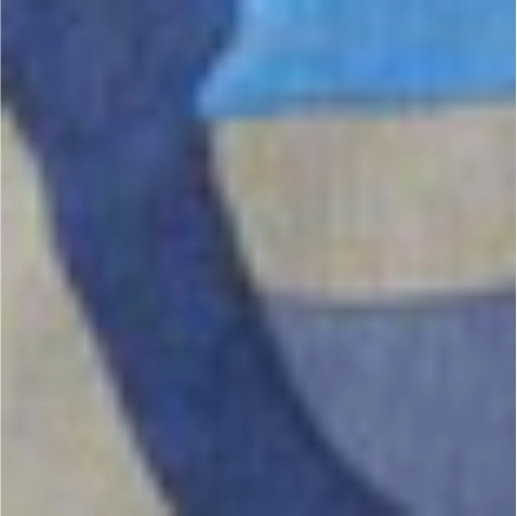indigo camo
